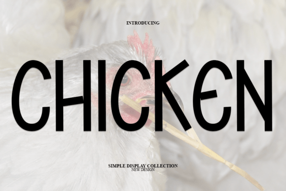Chicken Font: A Modern Display Typeface for Creative Projects